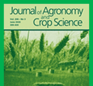 Root and shoot responses of upland New Rice for Africa varieties to fluctuating soil moisture conditions as affected by different levels of nitrogen fertilization