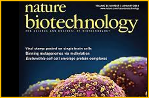 Programmable deletion, replacement, integration and inversion of large DNA sequences with twin prime editing