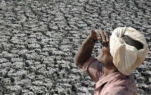 Empower farmers to make data-based decisions for better climate resilience
