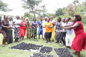 From informal to formal: Empowering women in circular bioeconomy business in Kenya