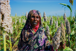 Food and nutrition crisis deepens across Sudan as famine identified in additional areas