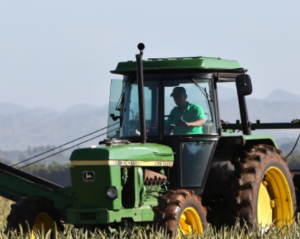 Two Gene-Edited Traits for Rice to Increase Productivity for Rice Farmers