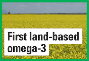 Omega-3 Canola Oil to Help Reduce Overfishing