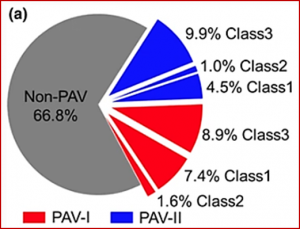 Identifying barley pan-genome sequence anchors using genetic mapping and machine learning