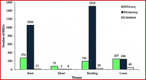 Salt tolerance involved candidate genes in rice: an integrative meta-analysis approach
