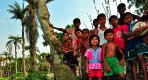 IRRI`s Response to COVID-19