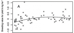 Steady agronomic and genetic interventions are essential for sustaining productivity in intensive rice cropping