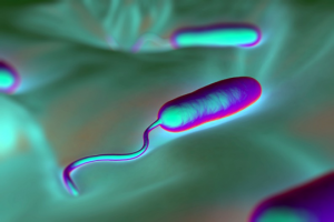 Bacterial pathogen deploys the iminosugar glycosyrin to manipulate plant glycobiology