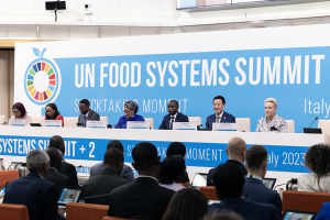 High-level special event weighs up solutions for efficient Africa-led agrifood systems transformation
