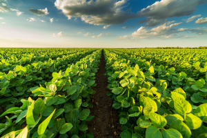 Study Reveals Ag Tech Can Cut Greenhouse Gas Emissions