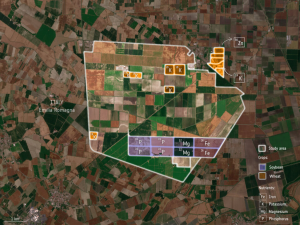 Satellites Could Measure Crop Nutrients Over Large Areas
