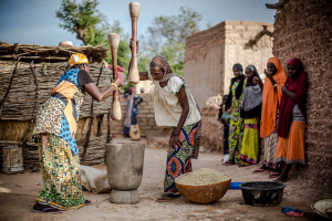 Hand in Hand Investment Forum: Spotlight on Sahel and Dry Corridor regional initiatives