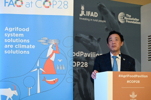 FAO Champions Agrifood Systems as Key to Climate Solutions, Releases Report on Loss and Damage