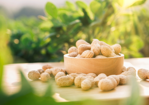 Murdoch University Team Identifies Genes in Peanut with Potential for Improvement