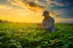 CGIAR`s Crop Innovations Impact 221 Million Hectares Worldwide