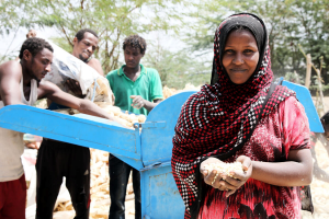 FAO and Mars join forces again to strengthen food safety