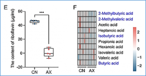 Gut bacteria are essential for development of an invasive bark beetle by regulating glucose transport