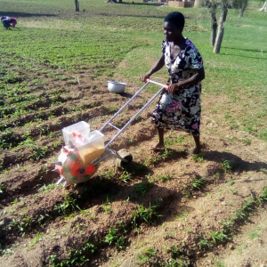 The potential of bundle innovation in closing gender yield gaps