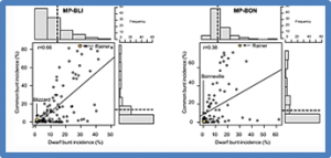 Comparative mapping and validation of multiple disease resistance QTL for simultaneously controlling common and dwarf bunt in bread wheat