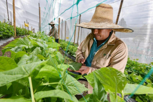 Caring for the seeds of the future during the quarantine
