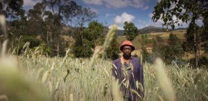 Climate finance neglects small-scale farmers &ndash; new report