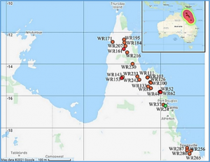 Reticulate Evolution in AA-Genome Wild Rice in Australia