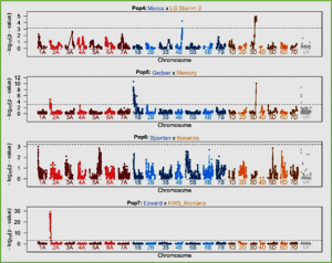 Mapping rust resistance in European winter wheat: many QTLs for yellow rust resistance, but only a few well characterized genes for stem rust resistance
