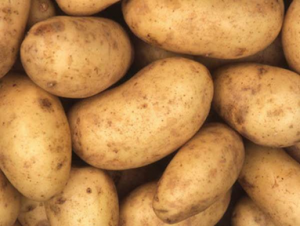 Genome assembly of six polyploid potato genomes