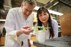 Purdue University Innovation Introduces Vital Traits to Plants Without Creating Transgenics