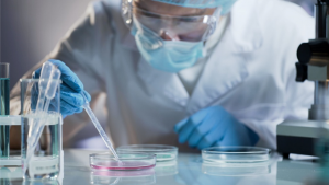 Halo-Alkaliphilic Microbes Reduce Heavy Metal Pollution in Extreme Environments