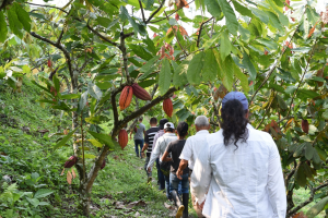 Main Agroecological Structure (MAS) as a Tool for Resilient Farm Planning