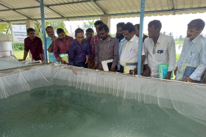 Agroecological Co-Design Knowledge Exchange in Andhra Pradesh, India