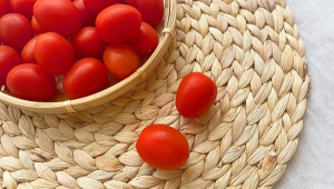 High GABA Tomato Determined as Non-GM in the Philippines