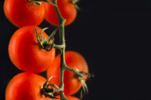 Bioengineers Propose Electro-Agriculture to Produce Food in the Dark and with 88% Less Land