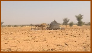 Brokering research crucial for climate-proofing drylands