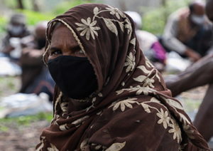 FAO Regional Conference for Africa (ARC)
