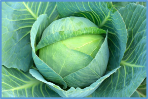 Identification and validation of an ECERIFERUM2- LIKE gene controlling cuticular wax biosynthesis in cabbage (Brassica oleracea L. var. capitata L.)
