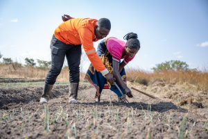 Press Release: CGIAR Food Systems Accelerator Launches Second Call for Applications