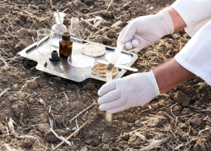Researchers Develop Chip for Accurate Soil Nutrient Analysis