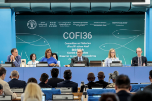 Global meeting focuses on fisheries and aquaculture&rsquo;s vital role in tackling food insecurity, malnutrition and poverty