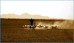 Study reveals Africa will reach 1.5&deg;C climate change threshold by 2040 even under low emission scenarios