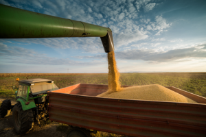 US, Highest Producer of Biotech Crops in 2018, Gov`t Support Vital