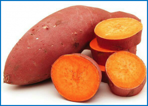Strengthening the orange-fleshed sweetpotato value chain in Malawi