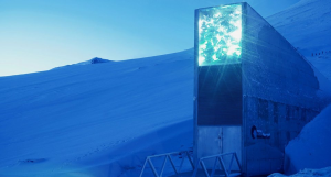 How long do seeds live? A 100-year experiment in the arctic to reveal the secret