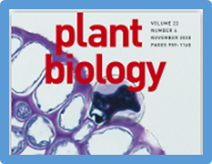 Identification and application of the Pigm-1 gene in rice disease resistance breeding