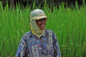 Transformative adaptation: Reorienting the climate response from climate-smart to climate-resilient