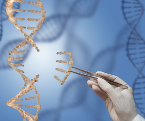 Split Gene Editing Tool Provides Higher Accuracy and Precision