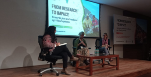 From social theories to agri-food system transformation practice: Summary of findings presented in the Delhi conference `From Research to Impact`