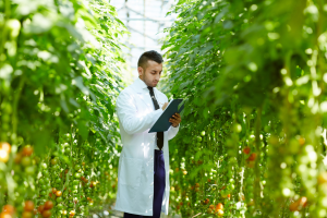 Scientists Introduce a Novel Method to Protect Plants from Viruses