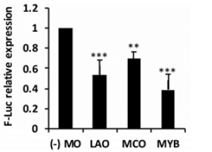 Identification and expression analysis of miRNAs and elucidation of their role in salt tolerance in rice varieties susceptible and tolerant to salinity.